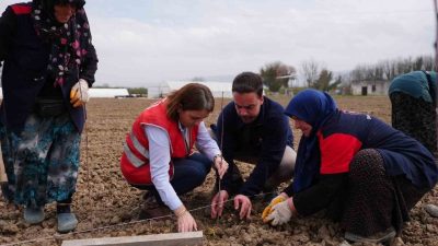 Düzce Belediyesi, süs bitkileri üretiminden, tıbbi aromatik bitkilere kadar birçok