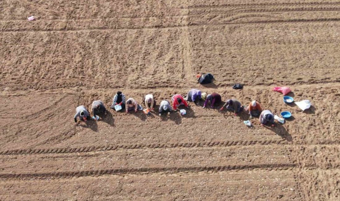 Kastamonu’da üç haftadır etkili olan kar yağışı ve soğuk hava