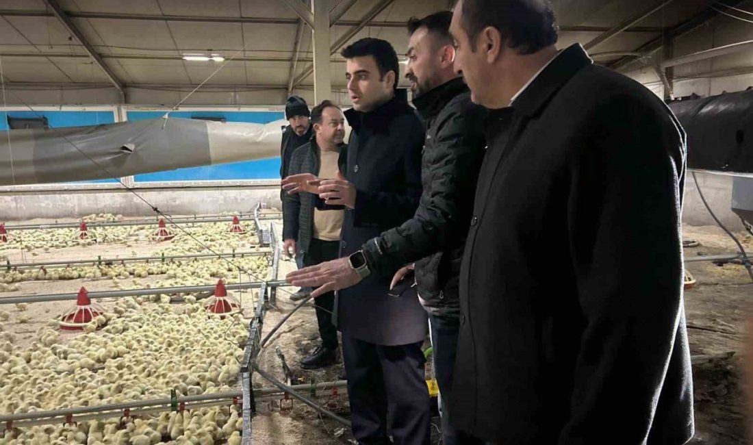 Tavuk çiftliğinde çıkan yangın söndürüldü Bilecik’in Osmaneli ilçesinde bir tavuk çiftliğinde çıkan yangın kısa sürede