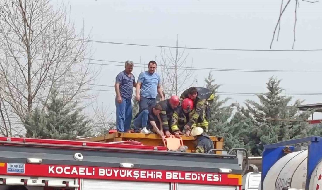 Kocaeli’nin Körfez ilçesinde bir kişi, tehlikeli madde taşıyan bir tırın