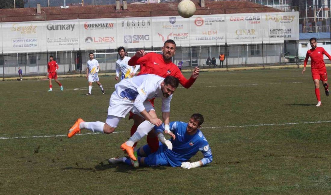 TFF 2. Lig Kırmızı Grup 26. hafta maçında Belediye Derincespor,