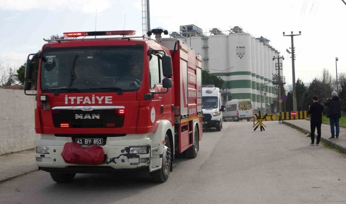 Kocaeli’de Toprak Mahsulleri Ofisi silolarında çıkan ufak çaplı yangın çalışanlar