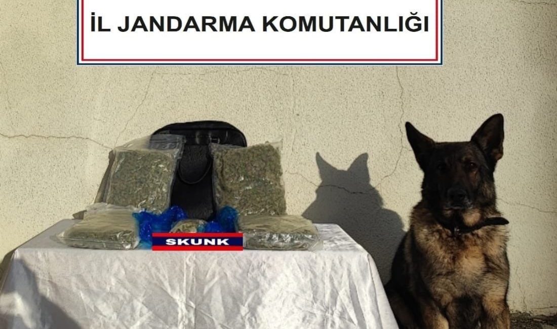 Bolu’da jandarma ekipleri tarafından yolcu otobüslerine yönelik yapılan denetimler çerçevesinde