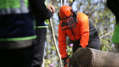 Akçakoca Orman İşletme Şefliğinde yapıldı üretim çalışmalarını ve iş güvenliği