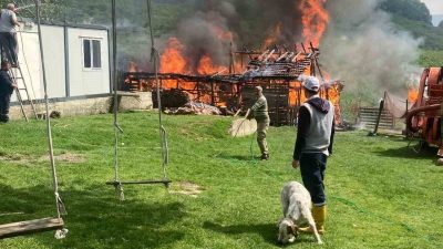 Akçakoca Çiçekpınar köyünde samanlık yangının maddi hasar meydana geldi. Düzce’nin