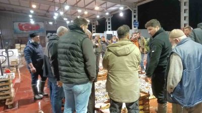 Av yasağının başlaması ile birlikte büyük tekneler limana demir atarken,