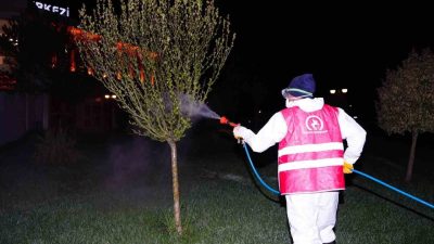 Düzce Belediyesi Park ve Bahçeler Müdürlüğü, şehir genelindeki yeşil alanlarda