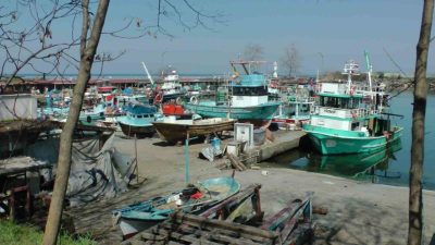Batı Karadeniz’in önemli balıkçılık merkezlerinden Akçakoca’da bereketli bir dönemi geride
