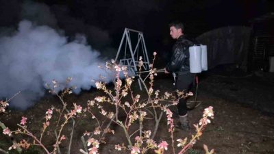 DÜZCE (İHA) – Düzce’de Meteoroloji Genel Müdürlüğü’nün yaptığı zirai don