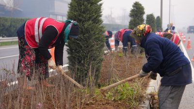 Düzce Belediyesi Park ve Bahçeler Müdürlüğü, 2025 yılının ilk çeyreğinde