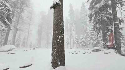 Düzce’nin yüksek kesimlerinde kar kalınlığı yaklaşık 50 santimetreye ulaştı. Meteoroloji’nin
