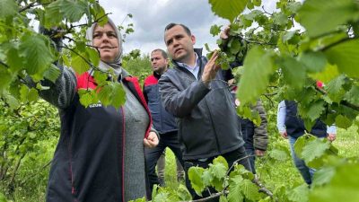 DÜZCE (İHA) – Düzce’de yaklaşık 3 gündür etkili olan soğuk