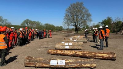 Gölyaka Orman İşletme Müdürlüğüne bağlı Aydınpınar Orman İşletme Şefliğinde üretim