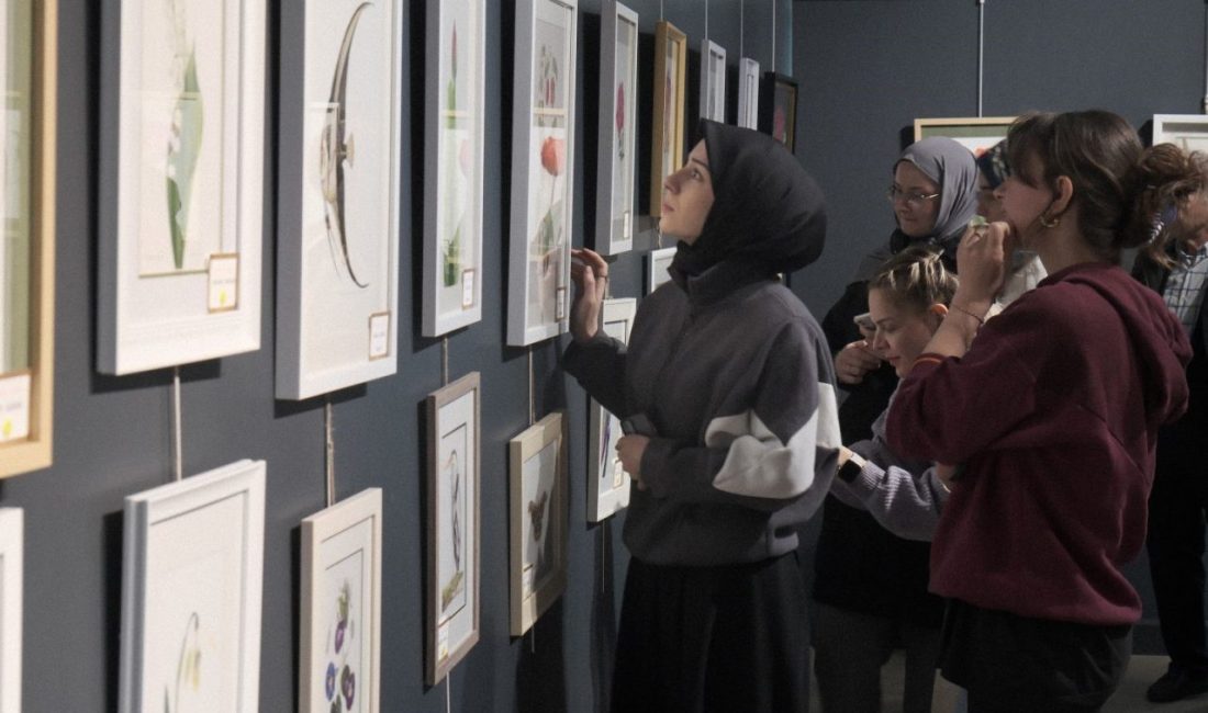 Kocaeli’de farklı tekniklerle yapılan bilimsel bitki illüstrasyon eserlerinden oluşan sergiye