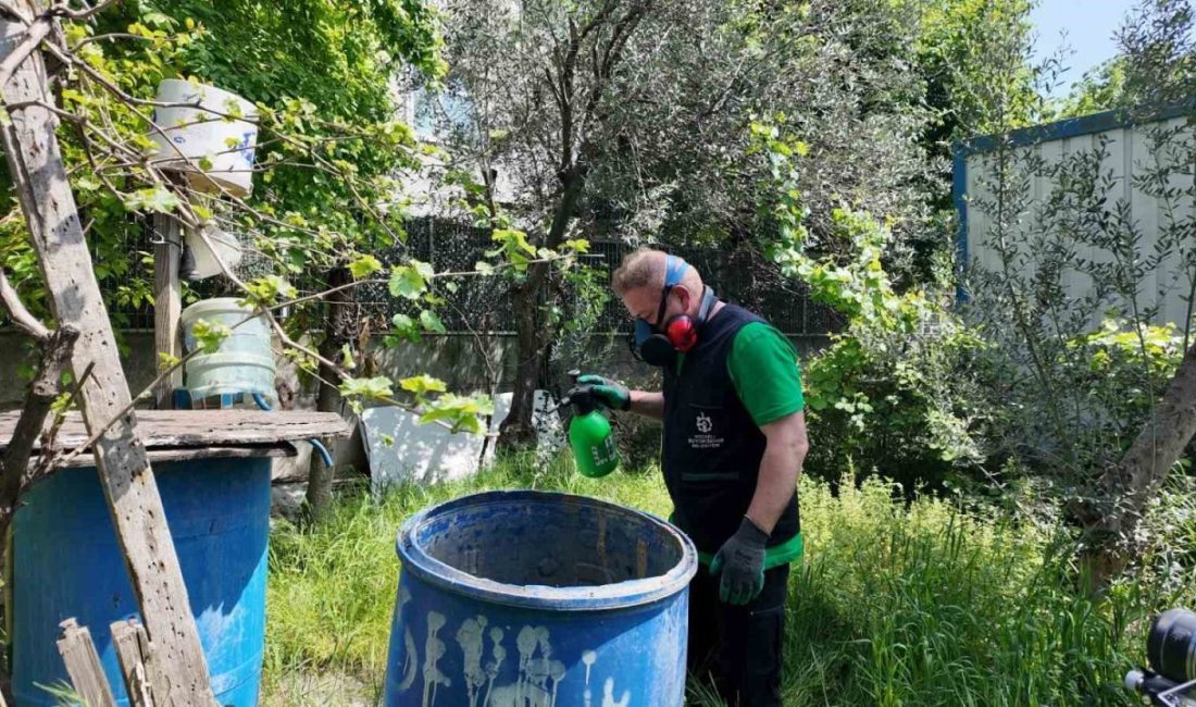 Kocaeli’de yaz ayının yaklaşması ile sivrisineklerin üremesini engellemek amacıyla 34