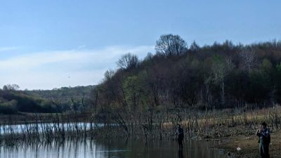 Kandıra Tarım ve Orman İlçe Müdürlüğü ekipleri, resmi tatilde limanlar