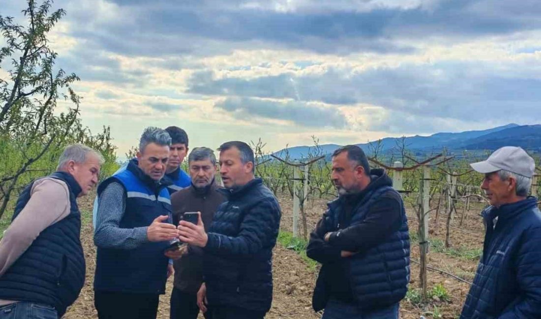 Tarım alanlarındaki zirai don hasarı inceleniyor Bilecik İl Tarım ve Orman Müdürü Necmettin Yoldaş, üreticilerin yaşadığı