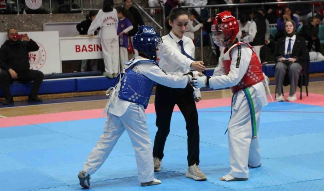 DÜZCE(İHA) – Düzce’de gerçekleştirilen 23 Nisan TBMM Kupası Taekwondo müsabakaları