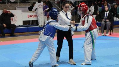 DÜZCE(İHA) – Düzce’de gerçekleştirilen 23 Nisan TBMM Kupası Taekwondo müsabakaları