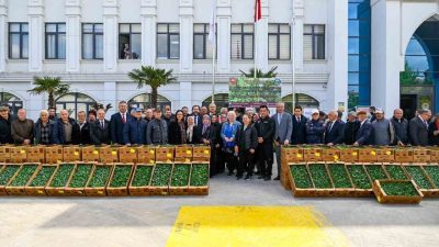 Yalova’da, 240 çiftçiye yaklaşık 300 dekar alanda üretilmesi için 115
