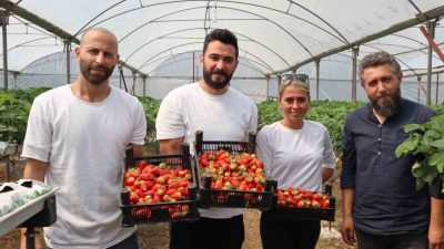 Yalova’da daha önce hayatlarında tarımla uğraşmamış 4 girişimci tarafından topraksız