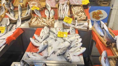 Balık avı sezonu 15 Nisan’da sona ererken, Kocaeli’de balıkçılar sezonun