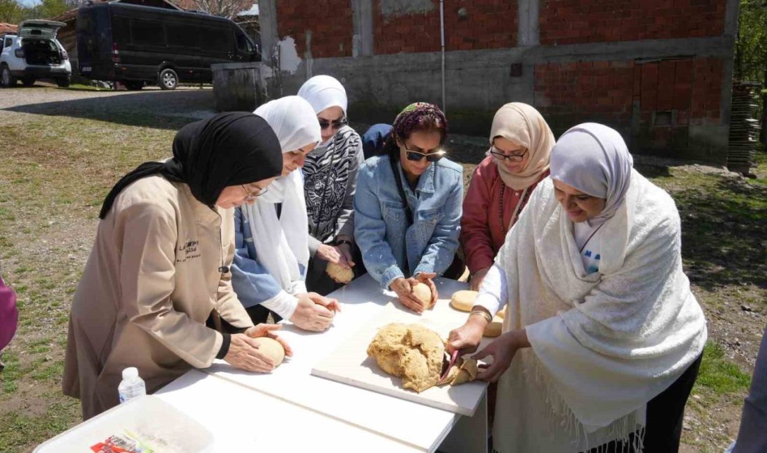 Orta Doğu ülkelerinden Türkiye’ye gelen kafile, Kastamonu’nun İhsangazi ilçesinde 12