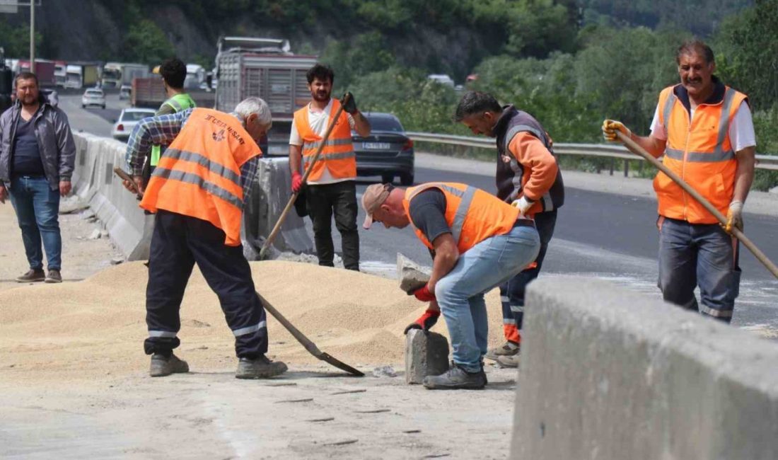 25 ton tavuk yemi D-650’ye savrulmuştu: Kapalı olan yol 2 saat sonra ulaşıma açıldı D-650 kara yolunun Sakarya Geyve geçişinde yan yatarak Bilecik istikametini