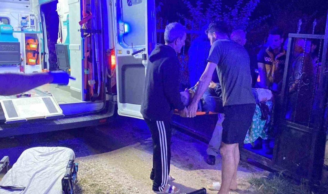 Aile içi kavgada ablasını ve eniştesini vurdu Kocaeli’de bir kişi tartıştığı eniştesini silahla vurdu. Seken kurşunlar zanlının