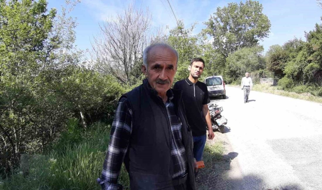 Aracın çarptığı karaca telef oldu Bolu’nun Mudurnu ilçesinde aracın çarptığı yavru karaca telef oldu. Olay,