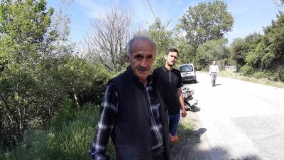 Bolu’nun Mudurnu ilçesinde aracın çarptığı yavru karaca telef oldu. Olay,