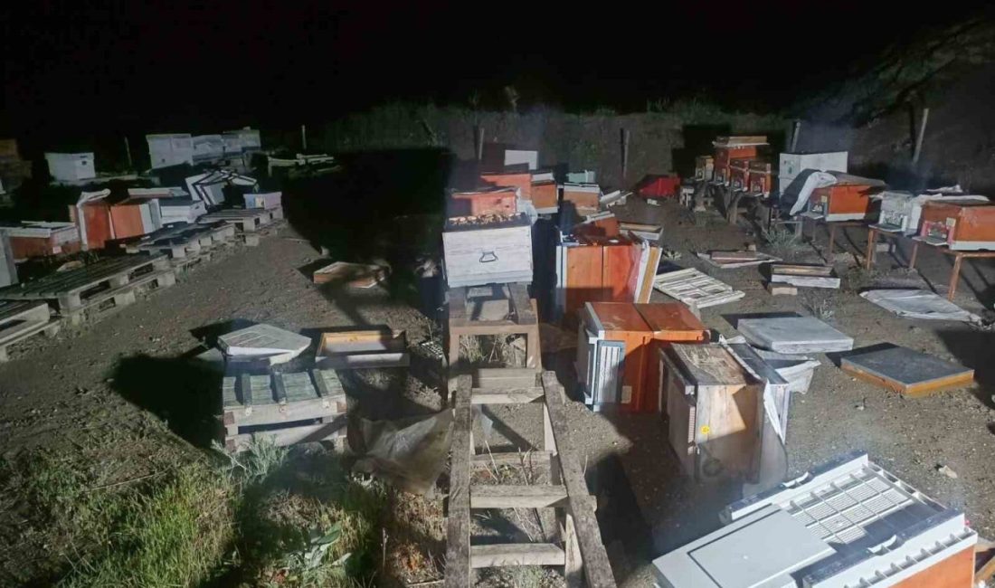 Arı kovanları cayır cayır yandı Bilecik’te bir kulübede başlayan yangın arı kovanlarına sıçrarken 35 kovandaki