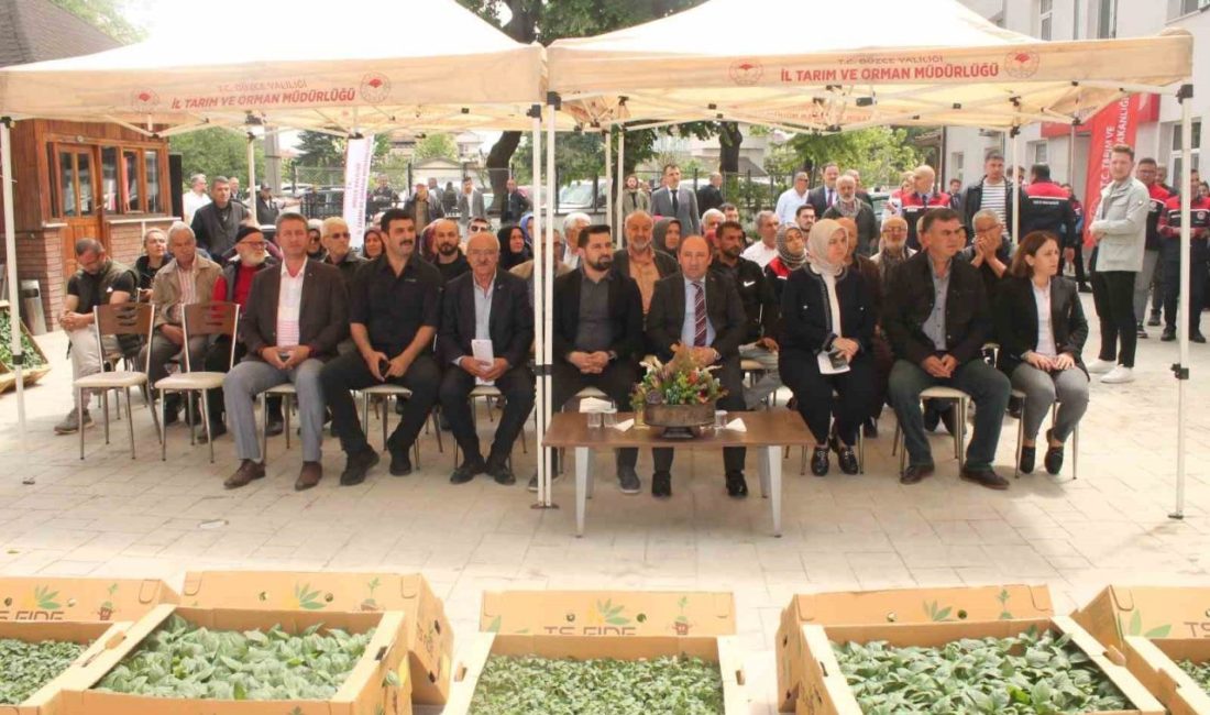 Atıl tarım arazilerinde sebze yetişecek Düzce’de sebze üretimini artırmak amacıyla tarım arazilerinin kullanımının etkinleştirilmesi projesi