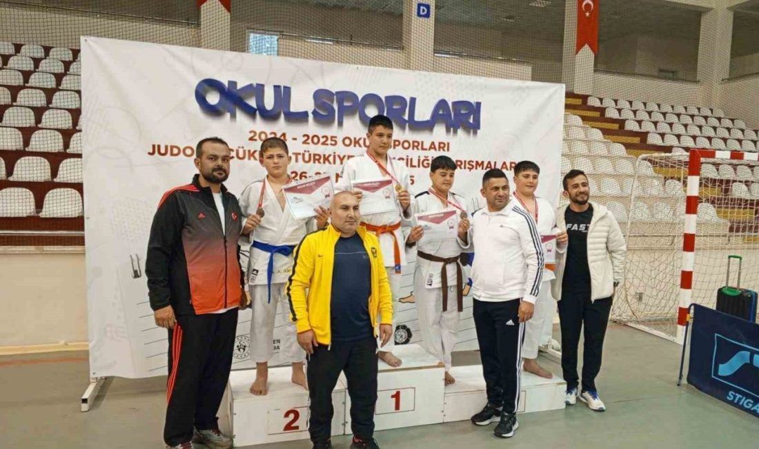 Aybars Ali Akpınar, Türkiye Judo Şampiyonası’nda ikinci oldu Bilecikli genç yetenek Aybars Ali Akpınar, Türkiye Judo Şampiyonası’nda ikinci