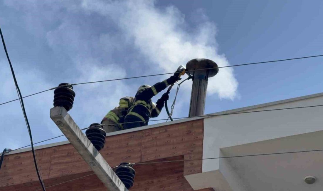 Bacadan çıkan kıvılcımlar itfaiyeyi harekete geçirdi Düzce’de bir restoranın bacasından çıkan kıvılcımlar paniğe neden oldu. İtfaiye