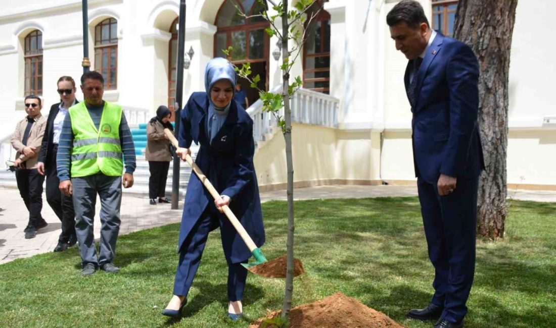 Bakan Mahinur Özdemir Göktaş, Bilecik’te adına hazırlanmış yere çınar fidanı dikerek can suyu verdi Aile ve Sosyal Hizmetler Bakanı Mahinur Özdemir Göktaş, Bilecik Valiliği
