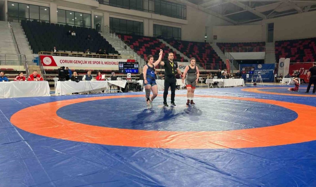 Başarılı güreşçiler Türkiye Şampiyonası’na ve Uluslararası Şampiyonalara katılacaklar Bozüyük Belediyesi Eğitim ve Spor Kulübü’nün başarılı güreş sporcuları katıldıkları