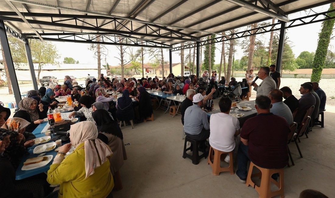 Adapazarı Belediye Başkanı Mutlu Işıksu, AK Parti Adapazarı İlçe Başkanı