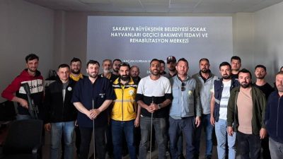 Sakarya Büyükşehir Belediyesi, Kurban Bayramı süresince kaçan hayvanların doğru tekniklerle