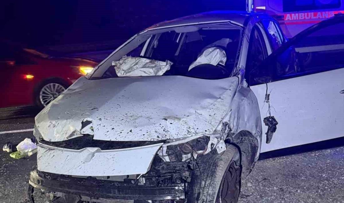 Bilecik’te meydana gelen trafik kazasında 1 kişi hayatını kaybetti Bilecik’te seyir halinde kontrolden çıkan otomobilin bariyerlere çarpması sonucu meydana