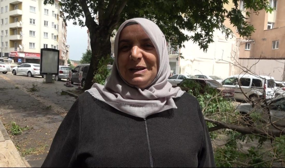 Bilecik’te kısa süreli süren fırtına çatıları uçururken, ağaçları dallarından kopardı.