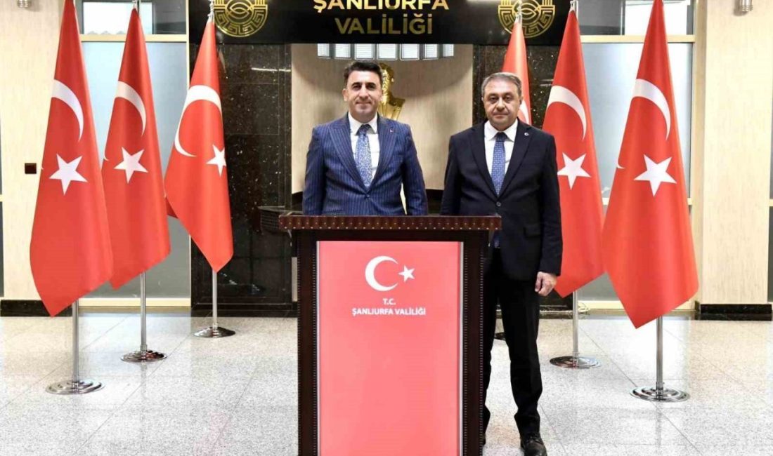 Bölgesel kalkınma ve kamu hizmetler konularında fikir alışverişinde bulundular Bilecik Valisi Şefik Aygöl ve Şanlıurfa Valisi Hasan Şıldak, bölgesel
