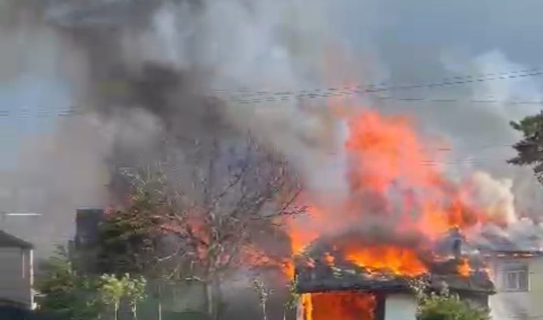 Bolu’da iki ev ve bir depo alev alev yandı Bolu’da bir depoda çıkan yangın, depoyu ve iki evi küle