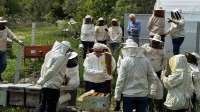 Bolu’nun dört bir yanından gelen kursiyerlerin katıldığı arıcılık kursunda, teorik