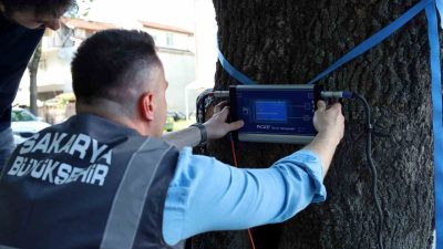 Sakarya Büyükşehir Belediyesi doğayı, ağaçların sağlığını ve güvenliğini korumak için
