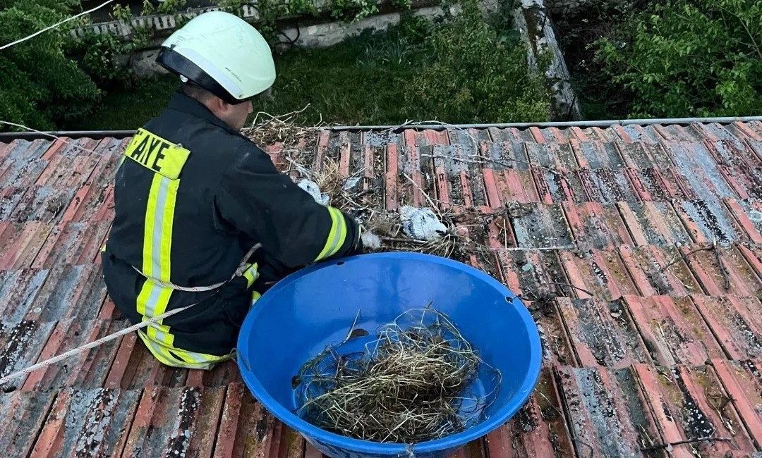 Kastamonu’nun Tosya ilçesinde fırtına sebebiyle yuvalarıyla birlikte çatının üzerine düşen