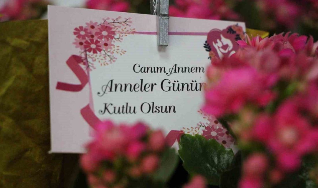 Anneler Günü’nün yaklaşmasıyla birlikte Bolu’daki çiçekçilerde hareketlilik başladı. 11 Mayıs