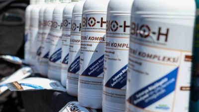 Çiftçilerin korkulu rüyası olan kahverengi kokarca böceği için dünyada Amerika