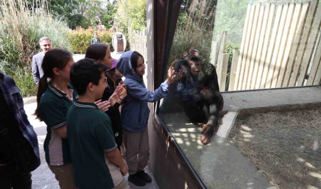 Çocuklar hayvanat bahçesini gezdi Darıca Belediyesi, her yıl ilçe genelindeki 5. sınıf öğrencilerini ücretsiz