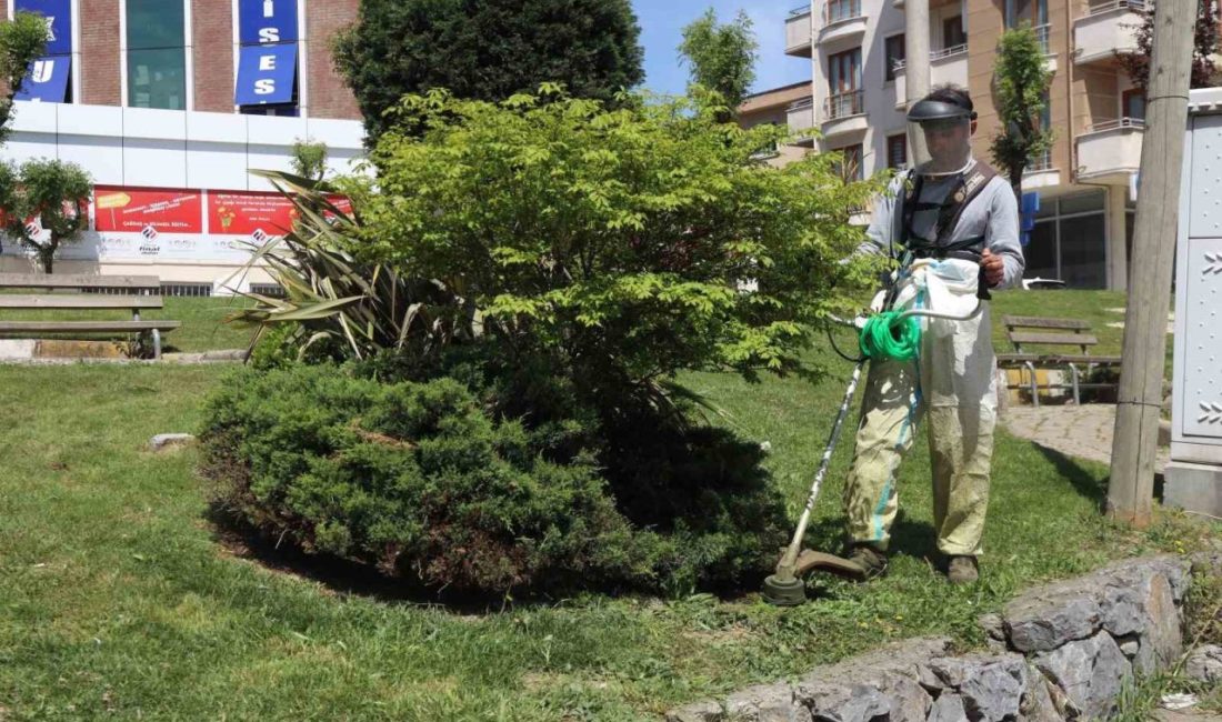 Darıca’da yeşil alanlarda bahar mesaisi Darıca Belediyesi, bahar aylarının gelmesiyle birlikte ilçe genelindeki park ve